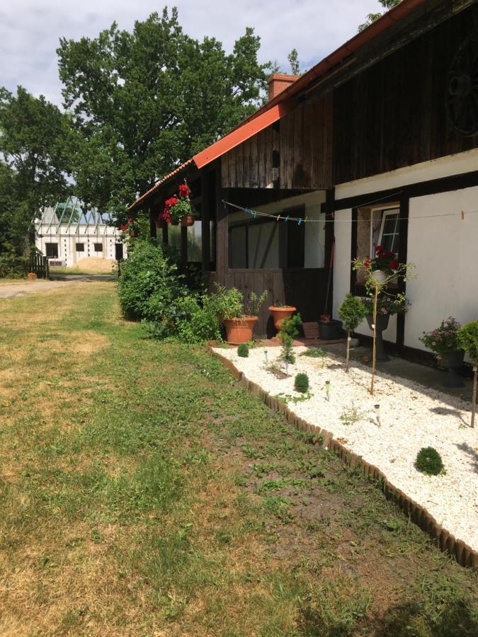 Agroturystyka Pod Debami W Klukach Smołdzino Exteriér fotografie