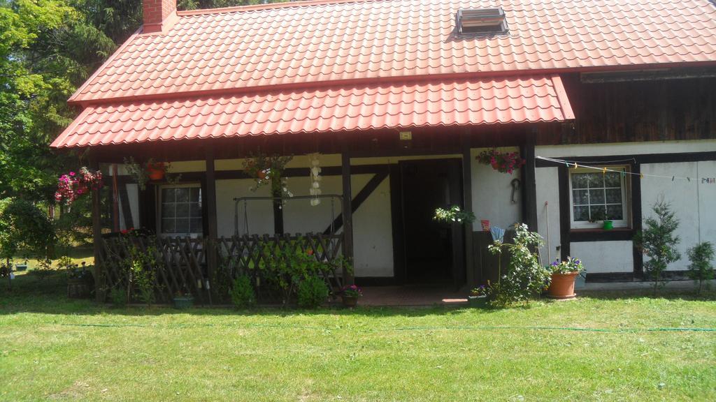 Agroturystyka Pod Debami W Klukach Smołdzino Exteriér fotografie