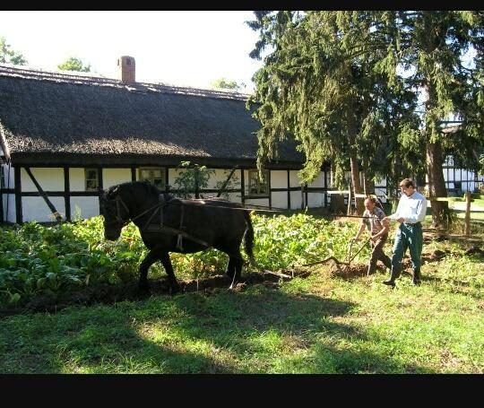 Agroturystyka Pod Debami W Klukach Smołdzino Exteriér fotografie
