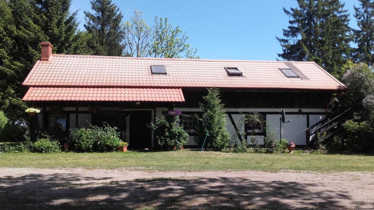 Agroturystyka Pod Debami W Klukach Smołdzino Exteriér fotografie