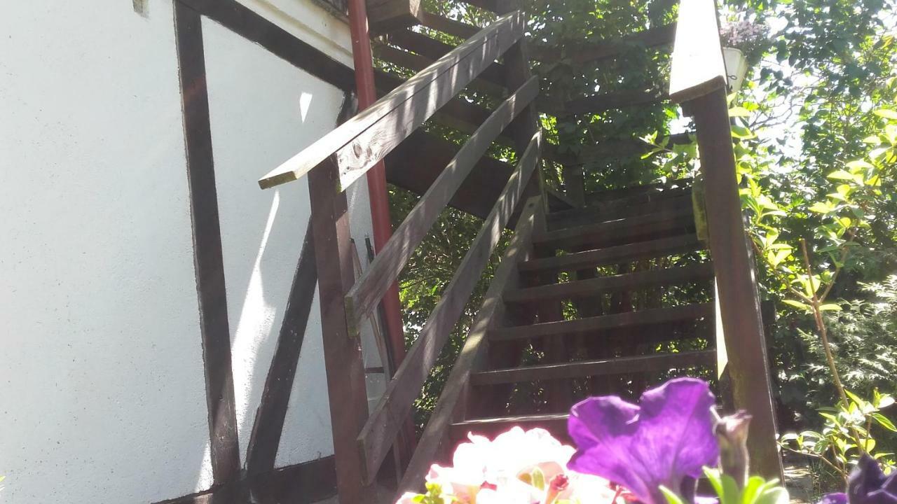 Agroturystyka Pod Debami W Klukach Smołdzino Exteriér fotografie