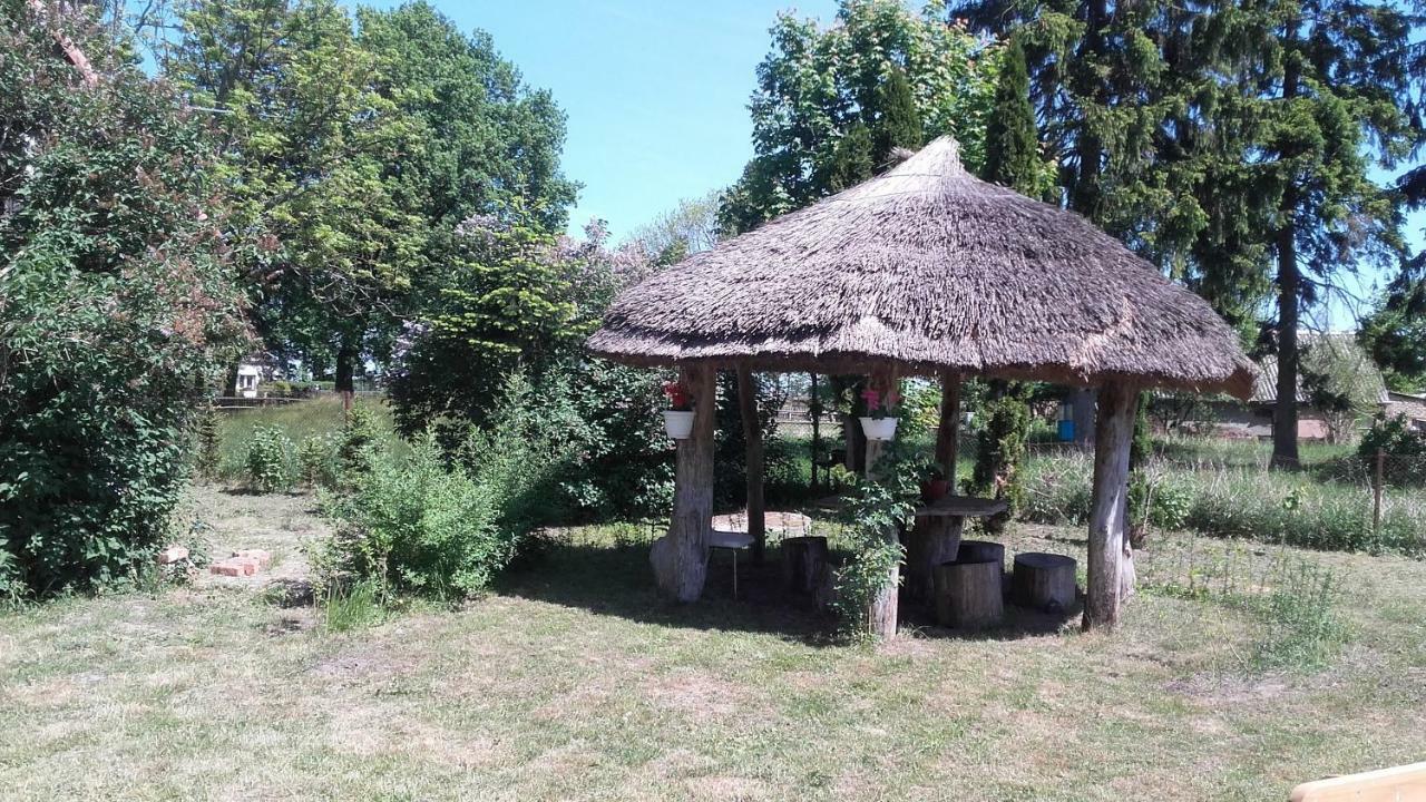 Agroturystyka Pod Debami W Klukach Smołdzino Exteriér fotografie